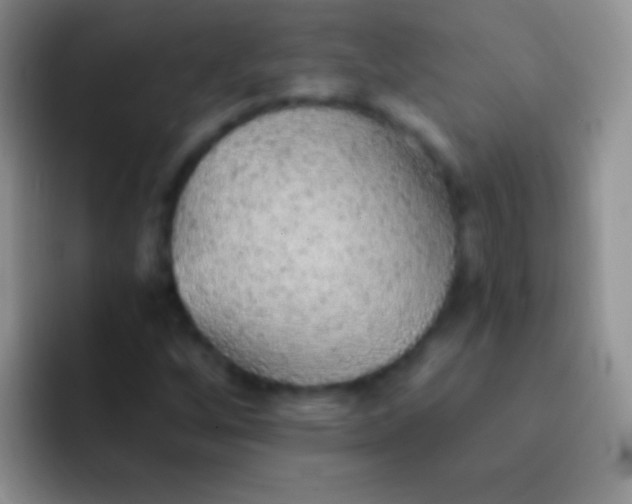 X0000092081256200709262058