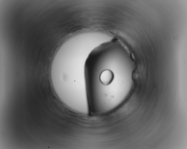X0000092081257200709262058