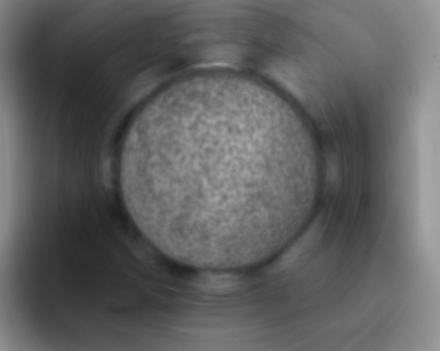 X0000092081258200709262058