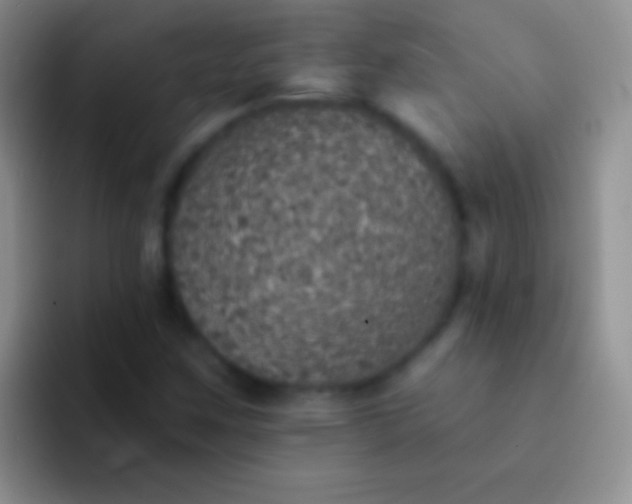 X0000092081259200709262058