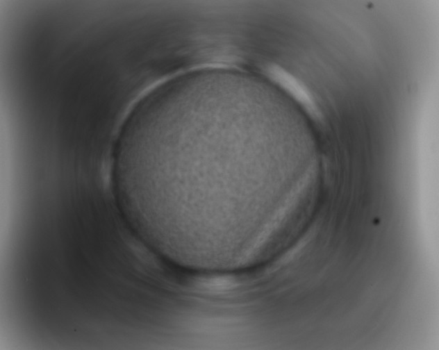 X0000092081260200709262058