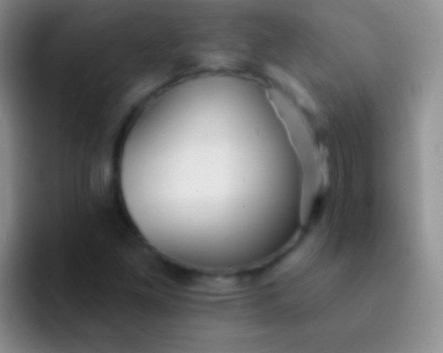 X0000092081261200709262058