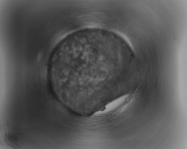 X0000092081263200709262058