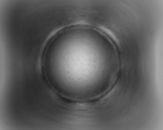 X0000092081264200709262058