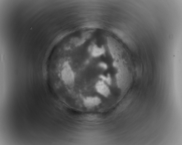 X0000092081266200709262057