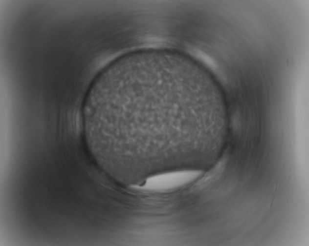 X0000092081267200709262057