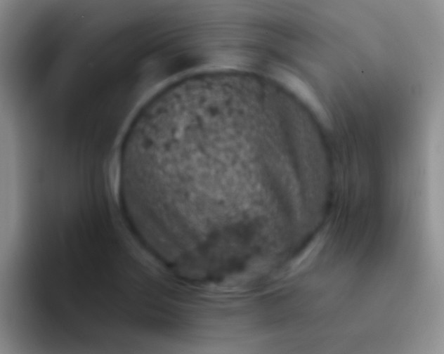 X0000092081275200709262057
