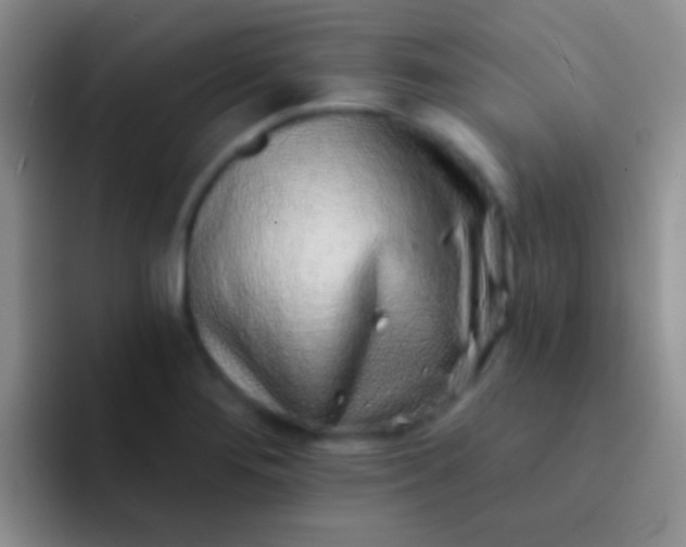 X0000092081276200709262057