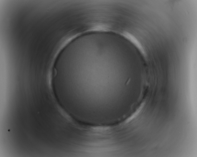 X0000092081277200709262057