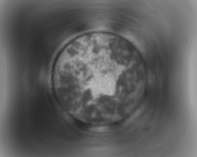 X0000092081278200709262057