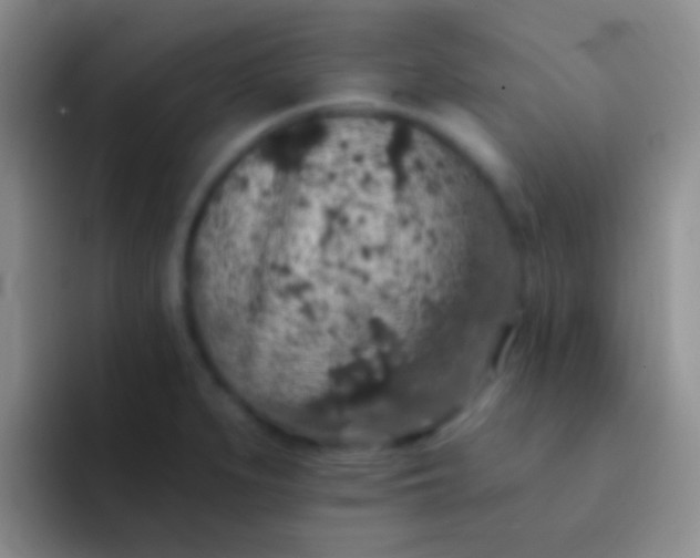 X0000092081279200709262057