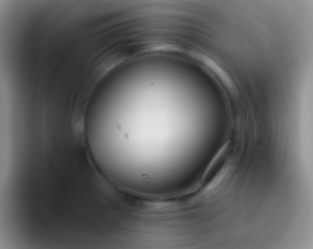 X0000092081281200709262057