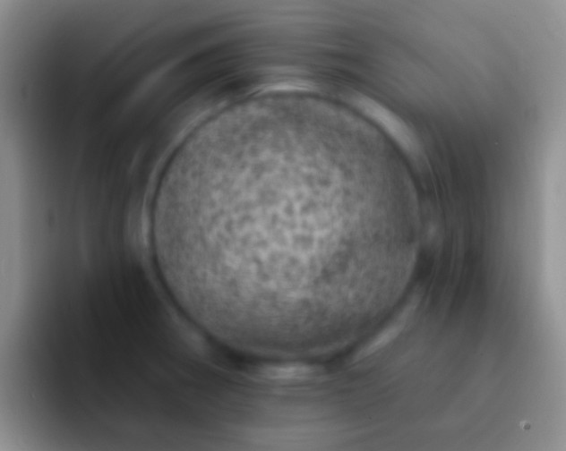 X0000092081282200709262057
