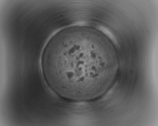 X0000092081283200709262057