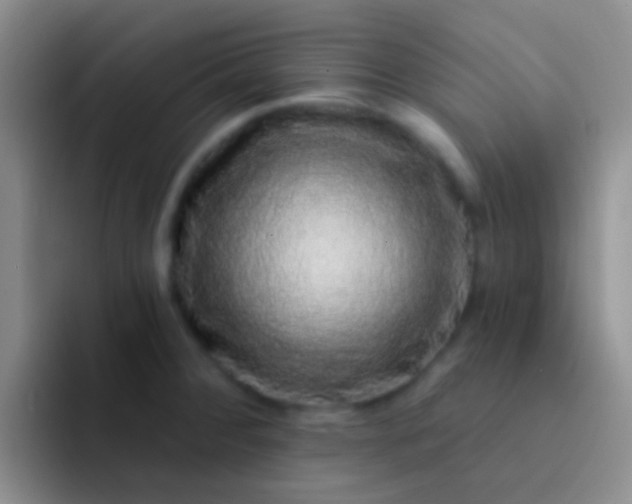 X0000092081284200709262057
