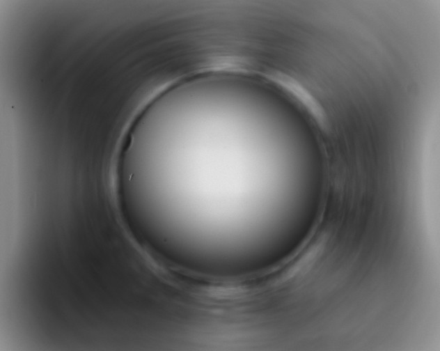 X0000092081285200709262057