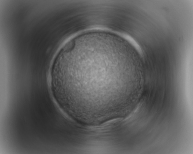 X0000092081287200709262057