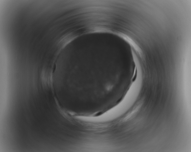 X0000092081289200709262057