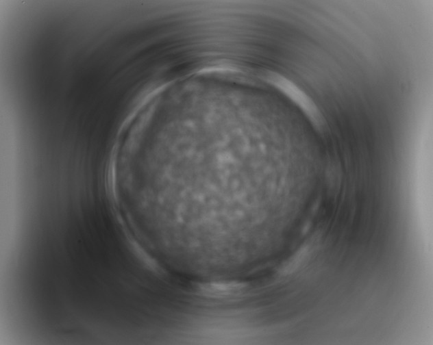 X0000092081290200709262057