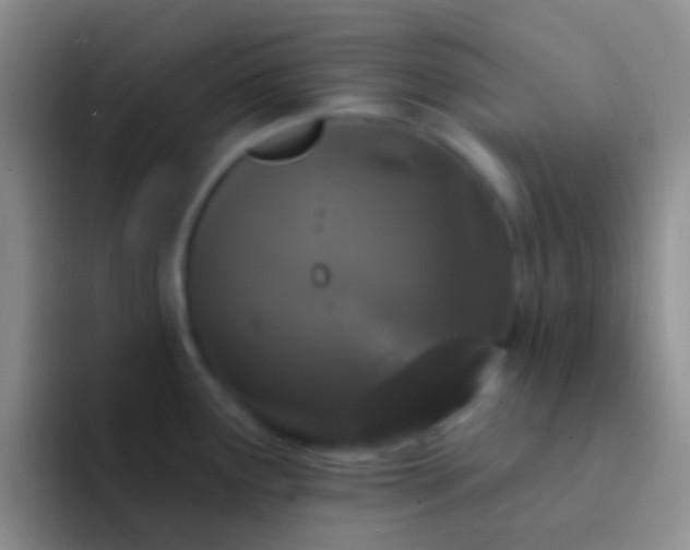 X0000092081291200709262057