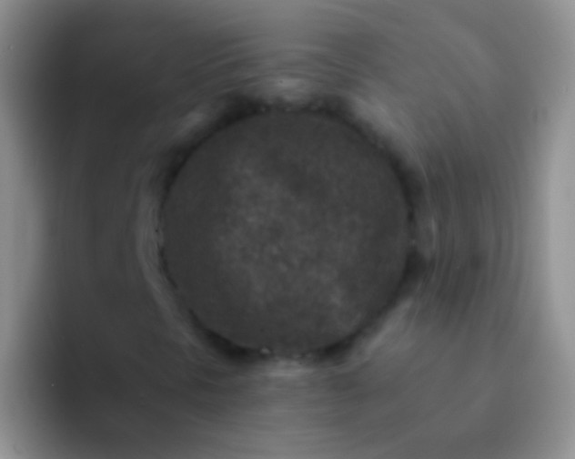 X0000092081297200709262057