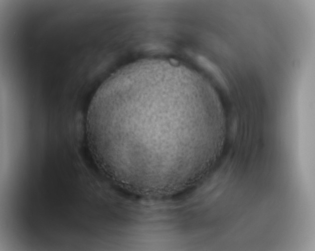X0000092081301200709262057
