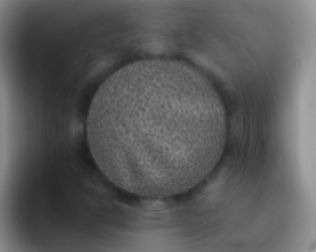 X0000092081302200709262057