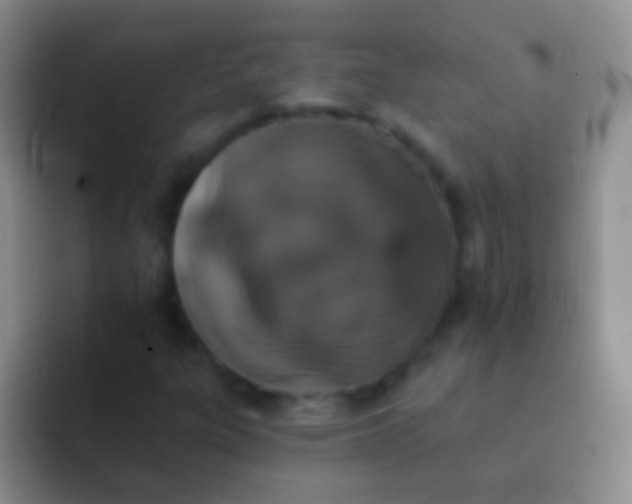 X0000092081303200709262057