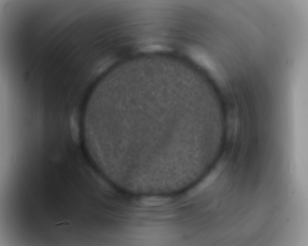 X0000092081305200709262057