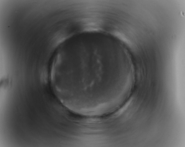 X0000092081306200709262057