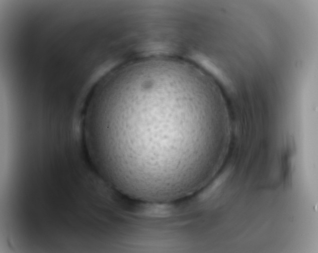 X0000092081309200709262057