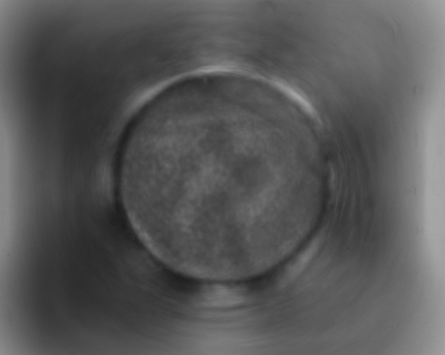 X0000092081311200709262057
