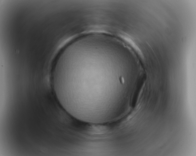 X0000092081312200709262057