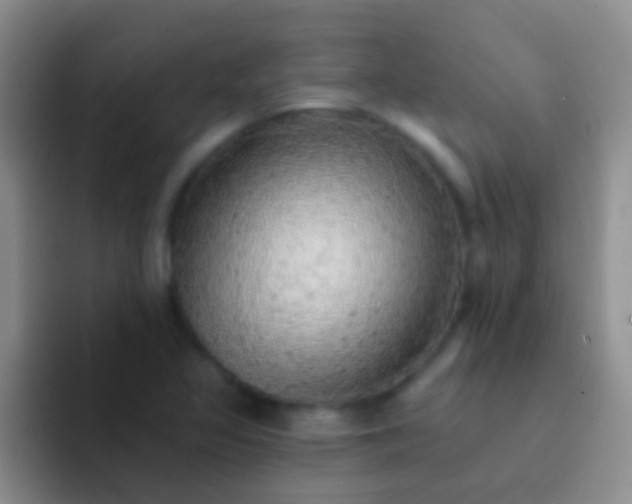 X0000092081317200709262057