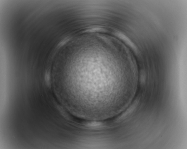 X0000092081321200709262057