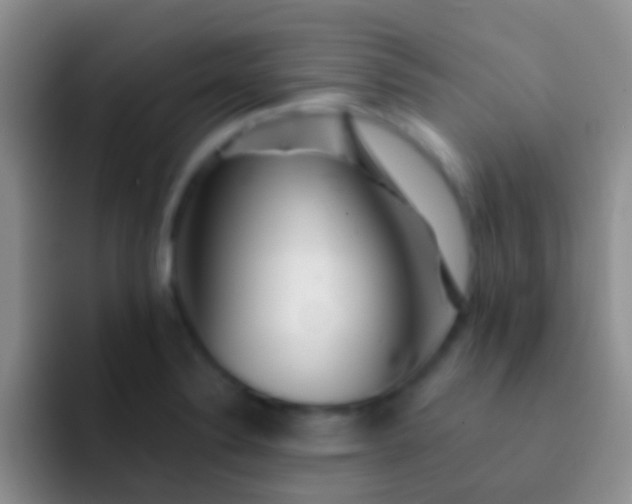 X0000092081324200709262057