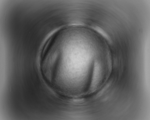 X0000092081325200709262057