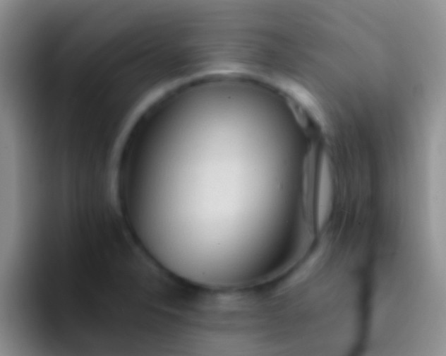 X0000092081326200709262057