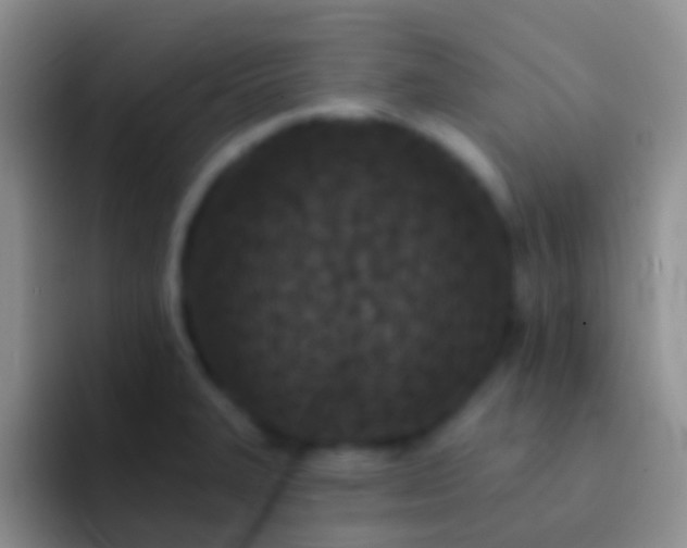 X0000092081327200709262057