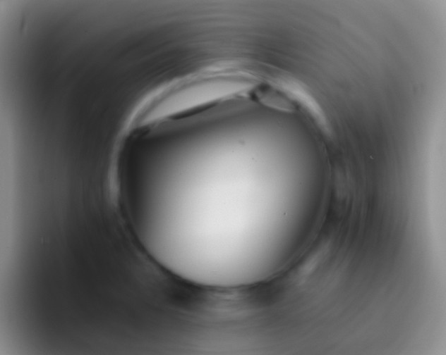 X0000092081328200709262057
