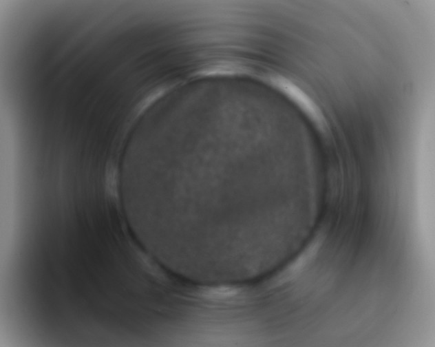 X0000092081329200709262057