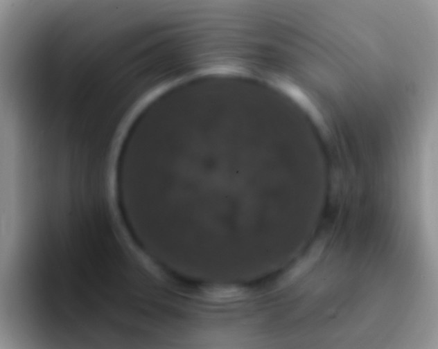 X0000092081331200709262057