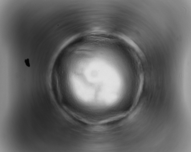 X0000092081333200709262057