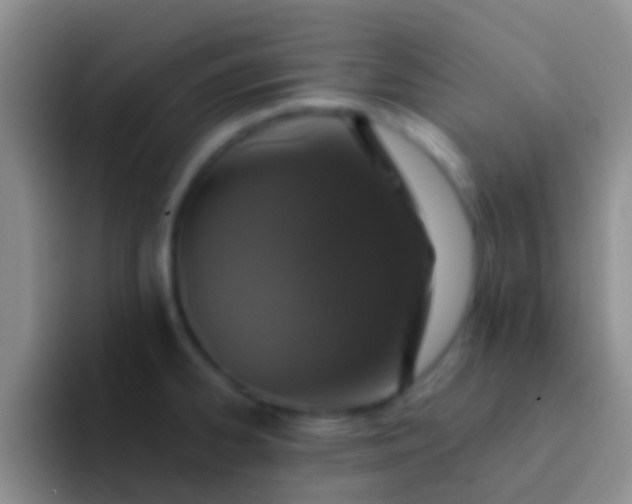 X0000092081334200709262057