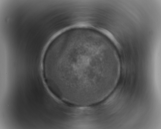 X0000092081335200709262057