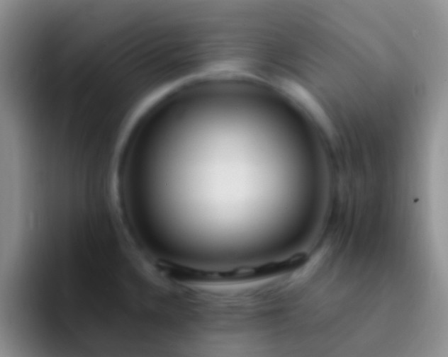X0000092081336200709262057