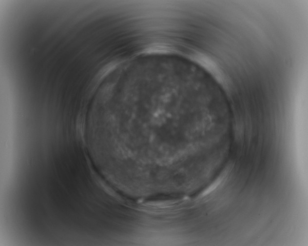 X0000092081337200709262057