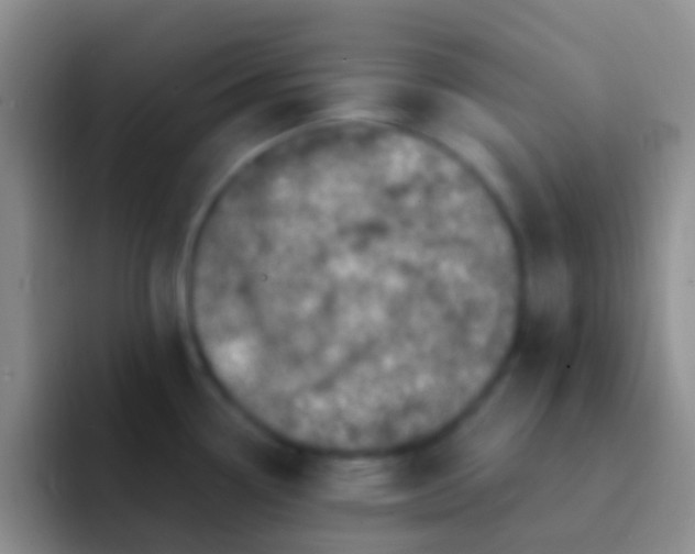 X0000092081338200709262057
