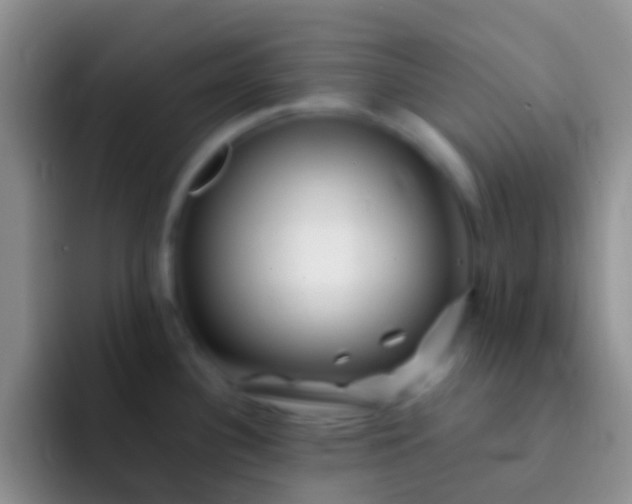 X0000092081340200709262057