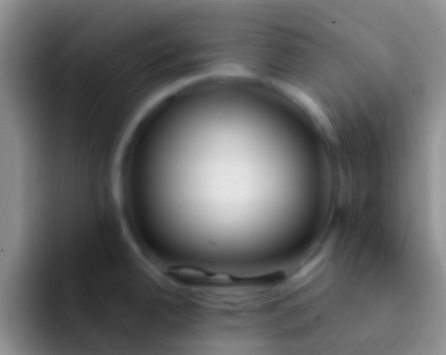 X0000092081342200709262057